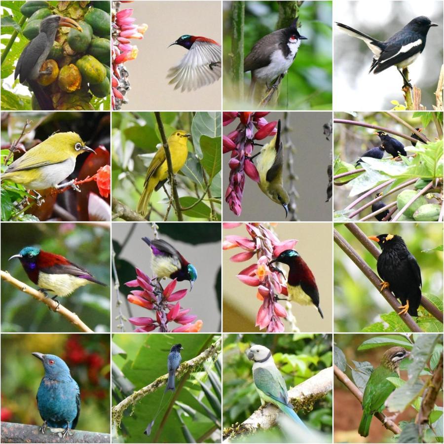 Flower Valley Plantation Homestay Munnar Zewnętrze zdjęcie